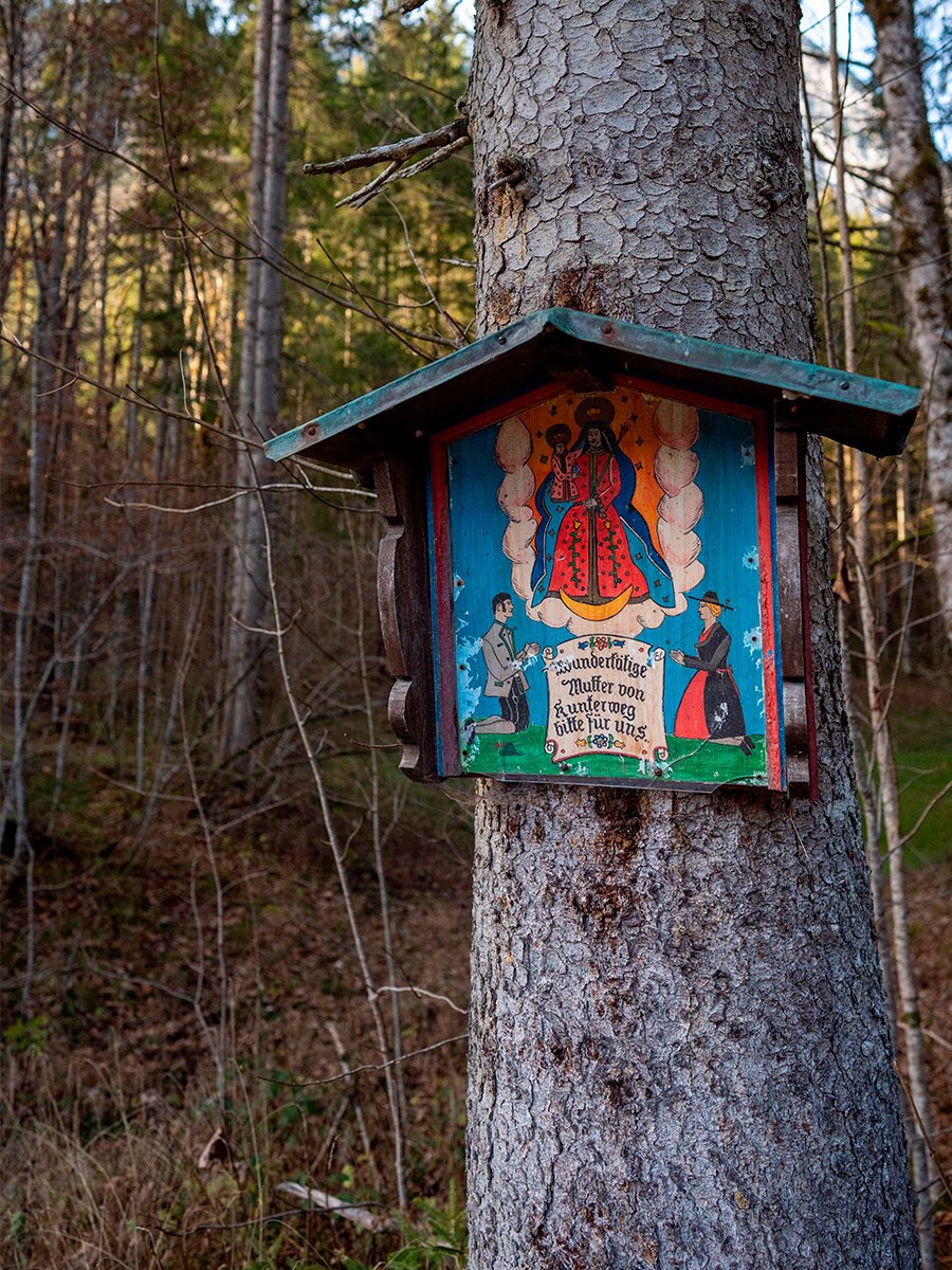 Photographie d'une maisonnette accroché à un arbre en Bavière