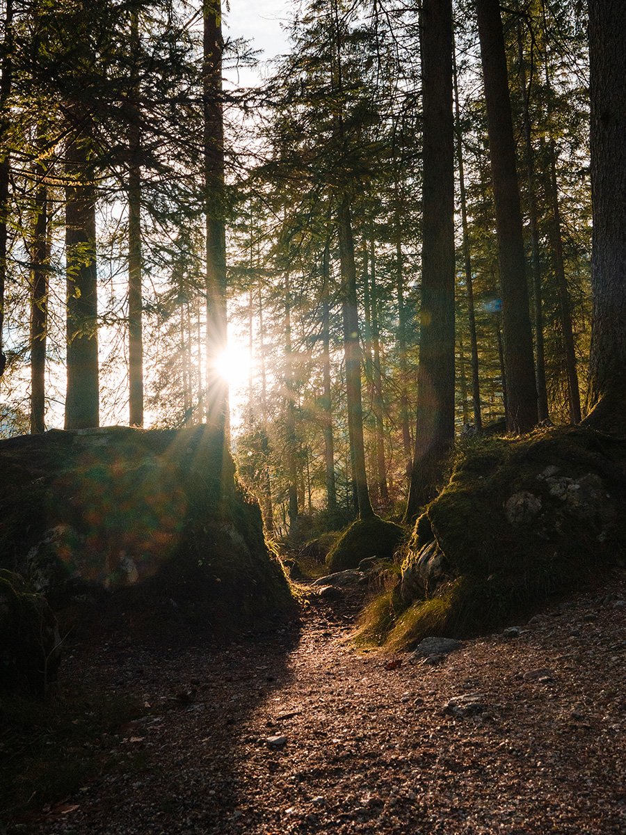 Photographie de rayons de soleil en Bavière