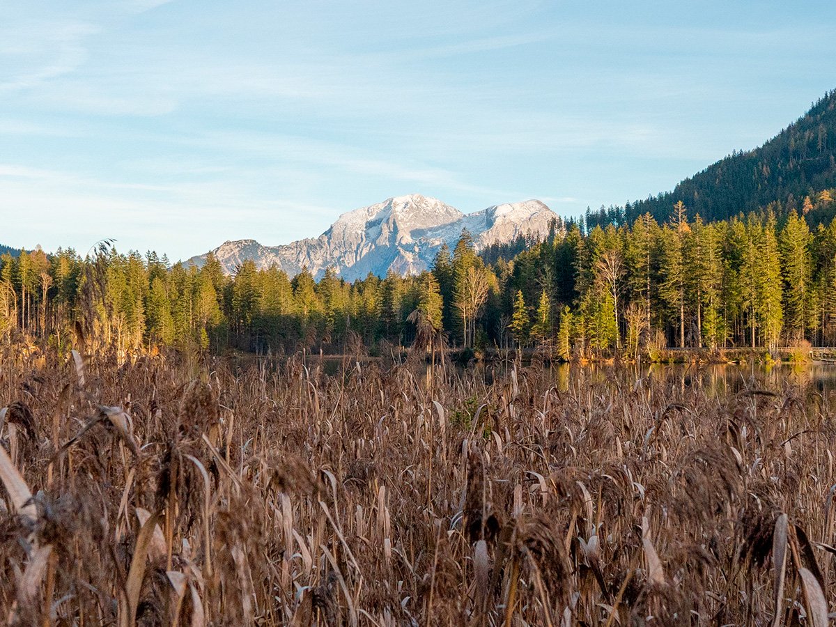 Photographie autour d'un lac en Bavière