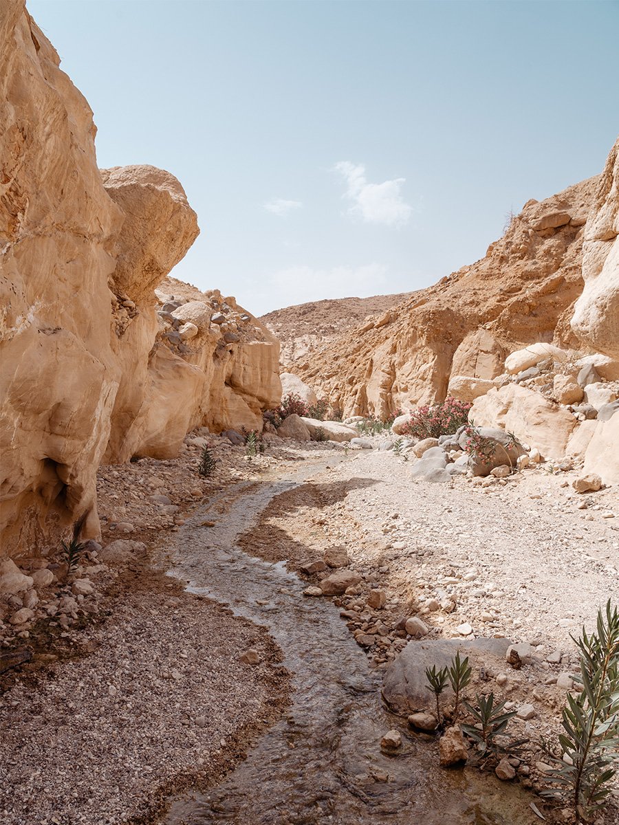 Photographie de paysage aride en Jordanie